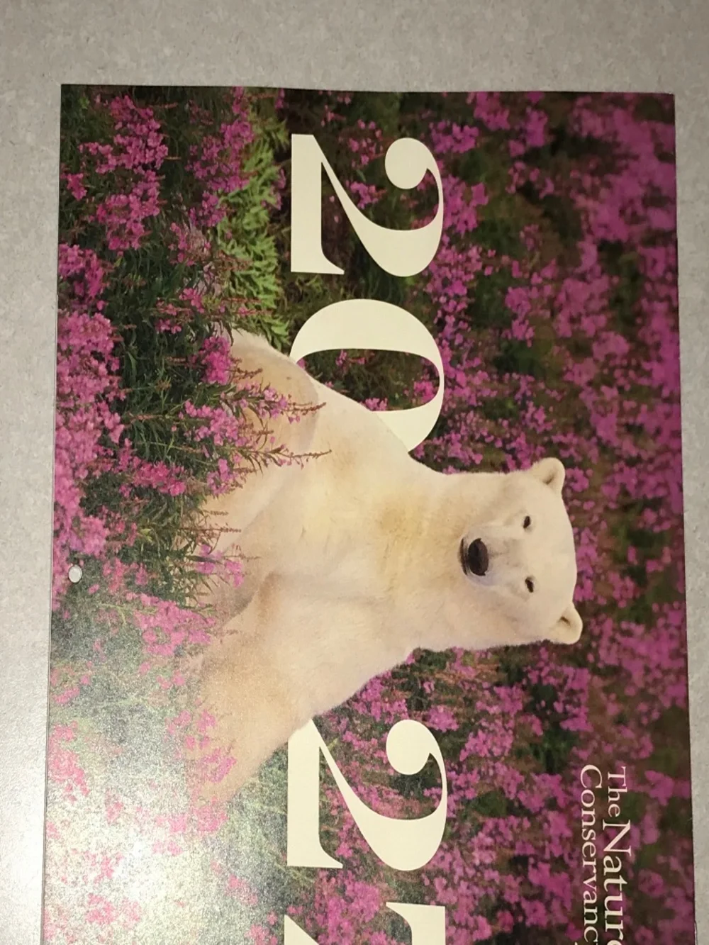 2027 Wildlife outdoors colorful wall Calendar
